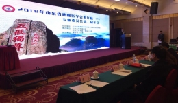 2018年山东省疼痛医学会老年病专业委员会第二届年会在山东泰安顺利召开