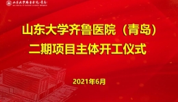 二期献礼|【党建篇】党建引领风帆劲 砥砺奋进谱新篇