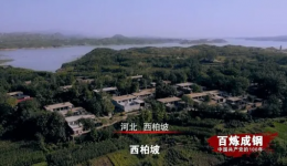 《百炼成钢：中国共产党的100年》第二十五集：向北平进发