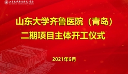 二期献礼|【党建篇】党建引领风帆劲 砥砺奋进谱新篇