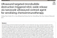 术业求精 | 我院超声科李杰教授团队研究成果在Journal of Nanobiotechnology发表