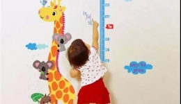 活动预告 | 免费拍骨龄，助力儿童健康成长——我院儿内科将举办“童心同力，快乐成长”公益科普活动