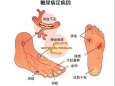 我院核医学科创新应用“99mTc-MIBI下肢微循环核素显像技术”助力糖尿病足精准诊疗