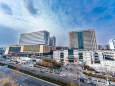山东大学齐鲁医院（青岛）神经外科进修医师招生火热开启！