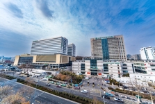 山东大学齐鲁医院（青岛）神经外科进修医师招生火热开启！