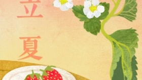 二十四节气 | 立夏——热烈色彩间，绽放立夏好时光