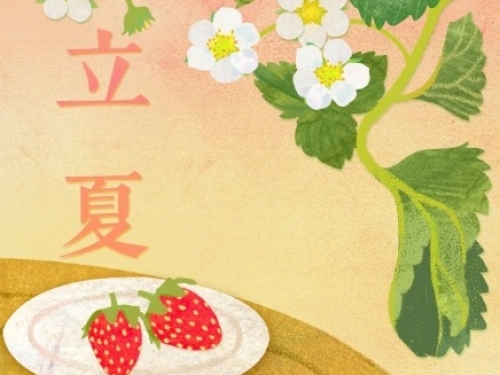 二十四节气 | 立夏——热烈色彩间，绽放立夏好时光
