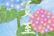 二十四节气 | 夏至——顺应天时，夏至养生正当时