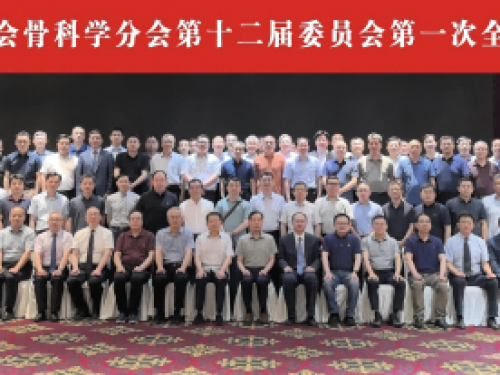 我院骨科中心主任司海朋当选山东省医学会骨科学分会、骨质疏松与骨矿盐疾病分会副主任委员