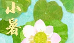 【画说齐鲁】二十四节气 | 小暑——小暑至，盛夏始