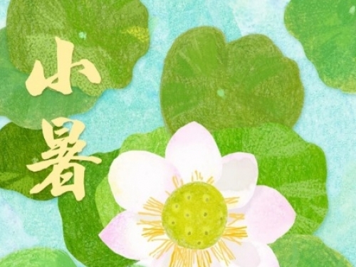 【画说齐鲁】二十四节气 | 小暑——小暑至，盛夏始