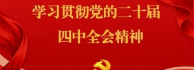 学习贯彻党的二十届四中全会精神