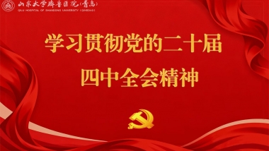 学习贯彻党的二十届四中全会精神