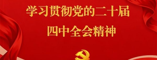 学习贯彻党的二十届四中全会精神