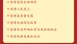学习新语丨党的二十届四中全会公报一图速览