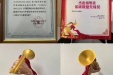 十二载 启新程 | 我院快速性心律失常治疗再创佳绩