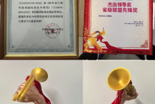 十二载 启新程 | 我院快速性心律失常治疗再创佳绩