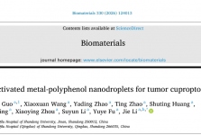李杰教授团队在超声介导的肿瘤诊疗一体化研究领域取得新进展