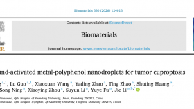 李杰教授团队在超声介导的肿瘤诊疗一体化研究领域取得新进展