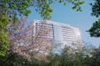 山东大学齐鲁医院（青岛）2026年五一劳动节假期门诊工作安排