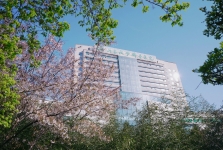 春日限定｜藏在医院里的治愈春光，温柔上线