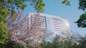 春日限定｜藏在医院里的治愈春光，温柔上线