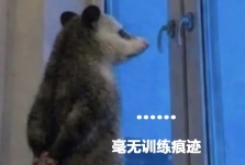 哐哐吃 猛猛练，就能增肌吗？