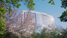 山东大学齐鲁医院（青岛）骨质疏松联合门诊正式开设啦！