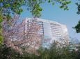 【会议通知】关于召开山东省研究型医院学会健康传播分会第二届换届大会暨2026年学术会议的通知